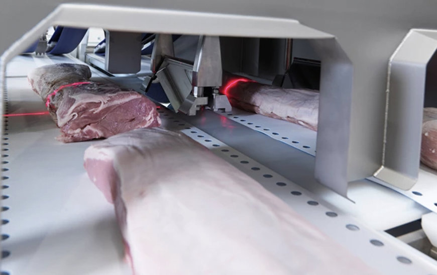 HOW TO CHOOSE THE RIGHT PORTION CUTTER